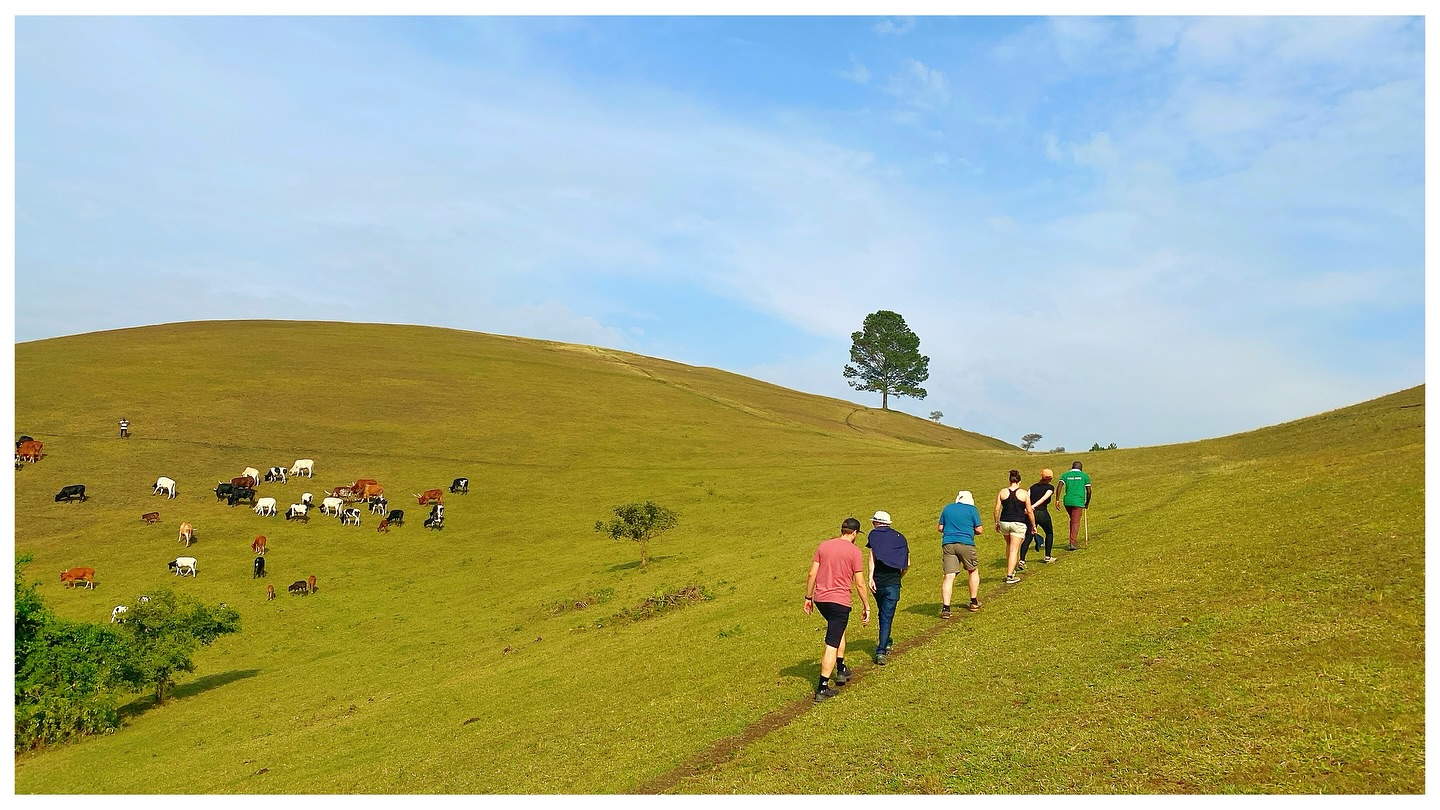 Uganda Ultimate Safari With Gorilla Experience